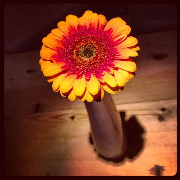 Flower effect 